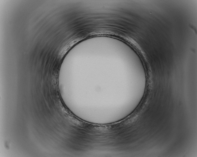 X0000103960937200809191331