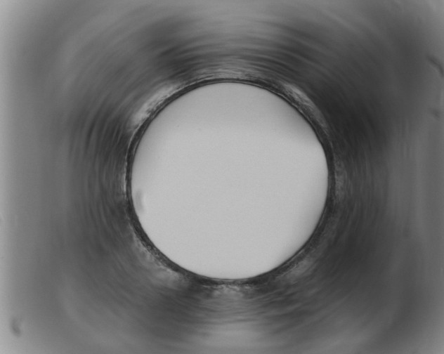 X0000103960938200809191331