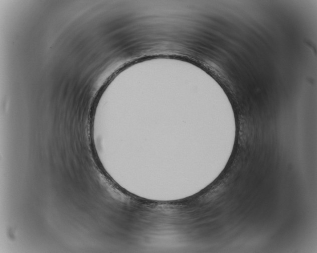 X0000103960942200809191331