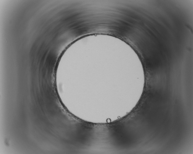 X0000103960944200809191331