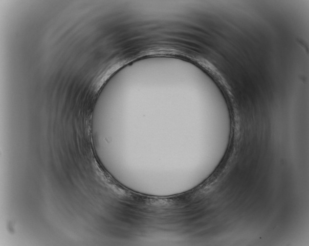 X0000103960945200809191331