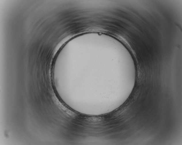 X0000103960947200809191331