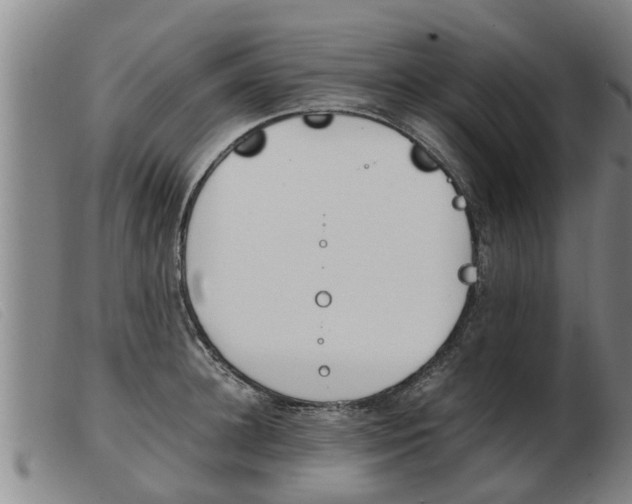 X0000103960948200809191331
