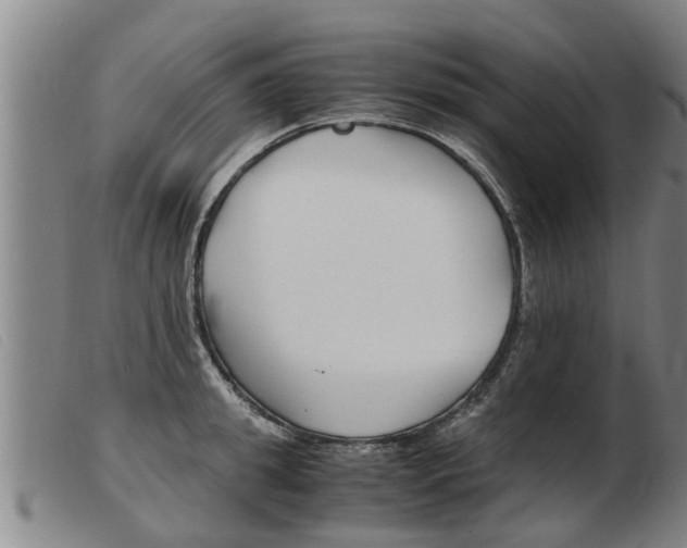X0000103960949200809191331
