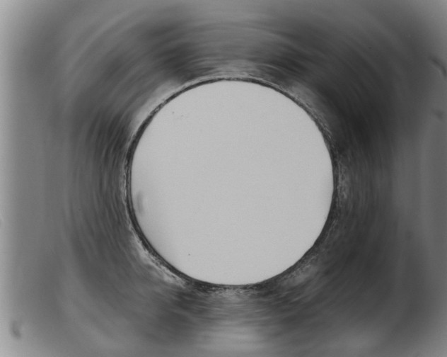X0000103960950200809191331