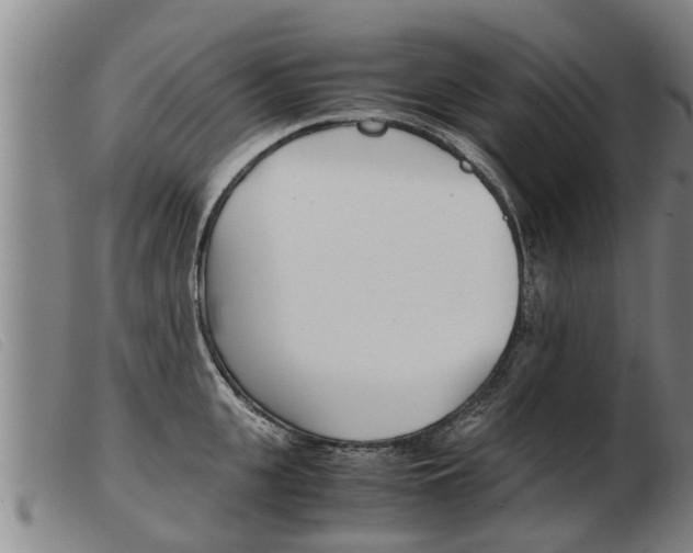 X0000103960951200809191331