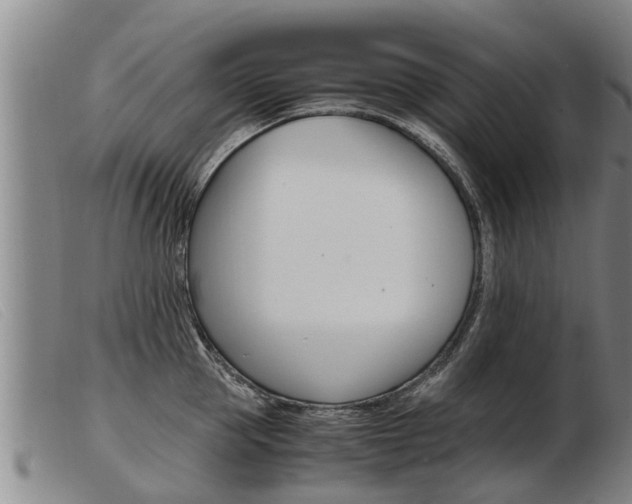 X0000103960953200809191331