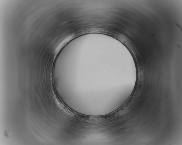 X0000103960954200809191331