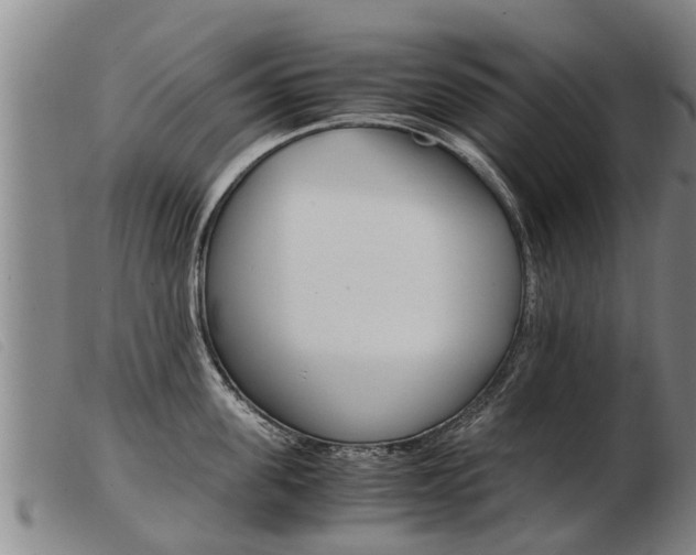 X0000103960955200809191331