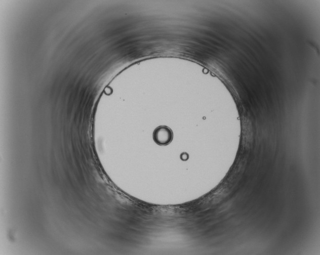 X0000103960956200809191331