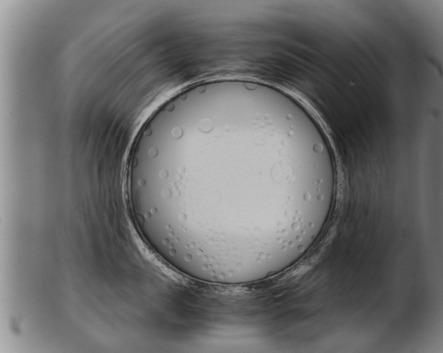 X0000103960957200809191331