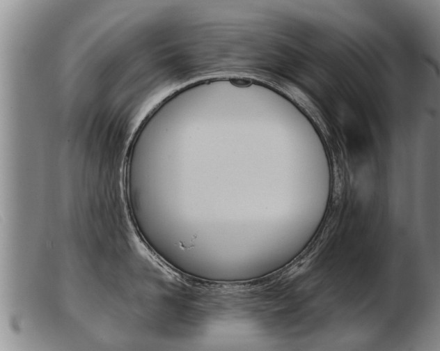 X0000103960958200809191331