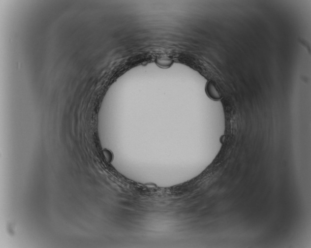 X0000103960961200809191330