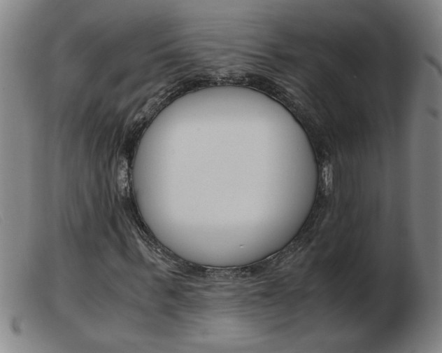 X0000103960963200809191330
