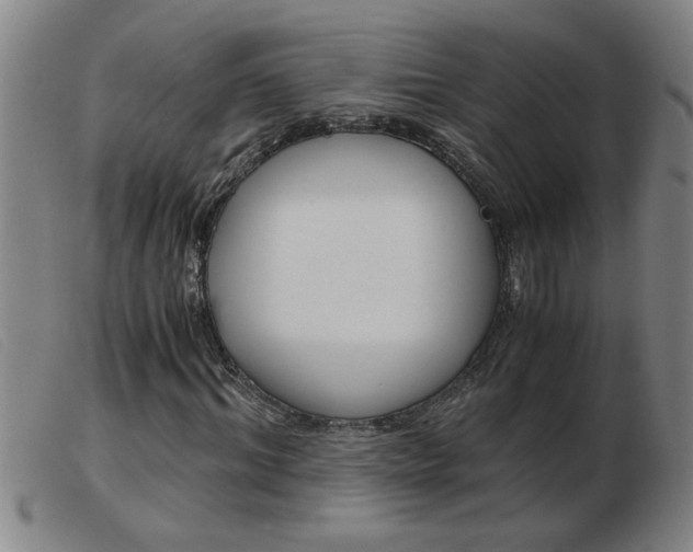X0000103960964200809191330