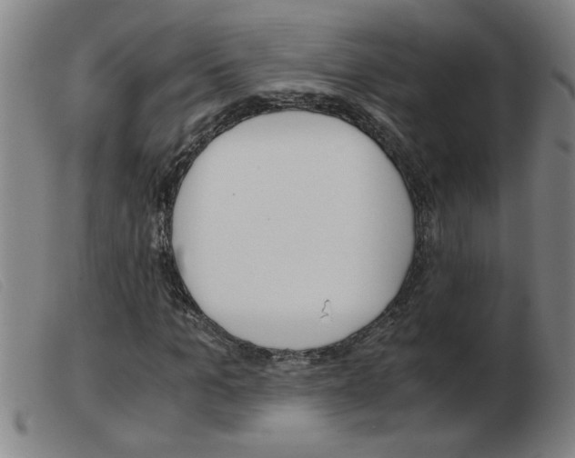 X0000103960965200809191330