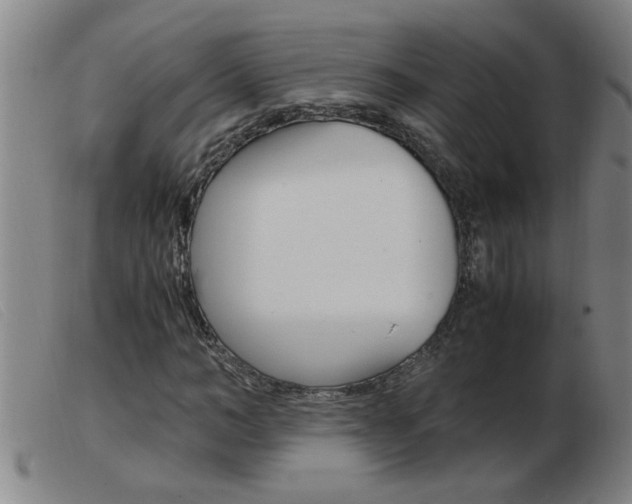 X0000103960966200809191330