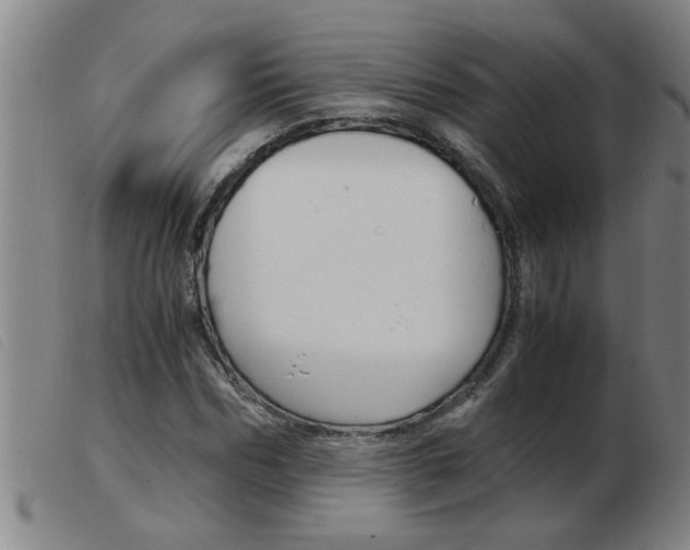 X0000103960970200809191330