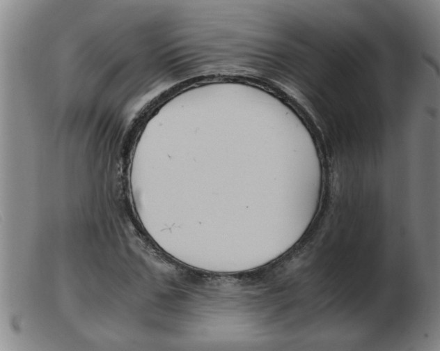X0000103960971200809191330