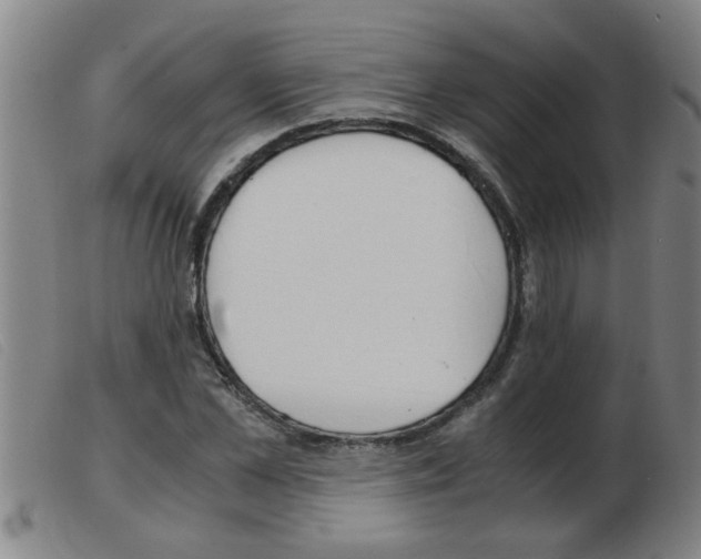 X0000103960973200809191330