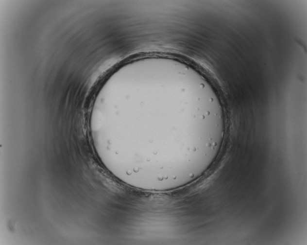 X0000103960974200809191330