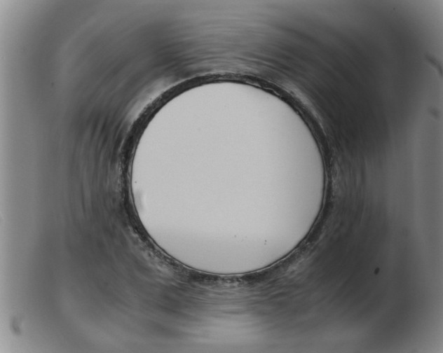 X0000103960975200809191330