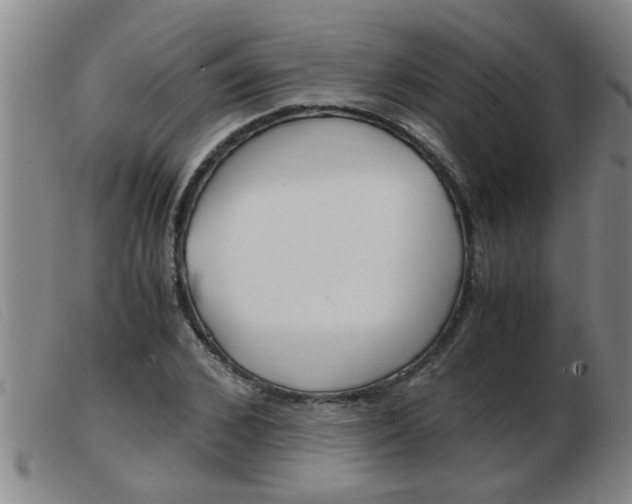 X0000103960976200809191330