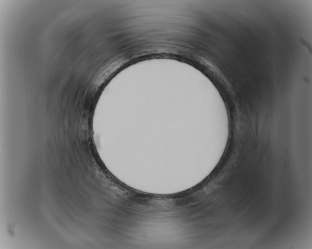 X0000103960977200809191330