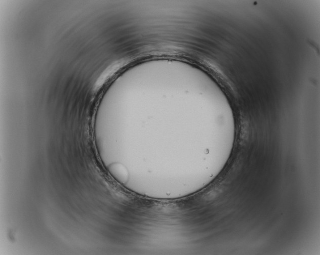 X0000103960978200809191330