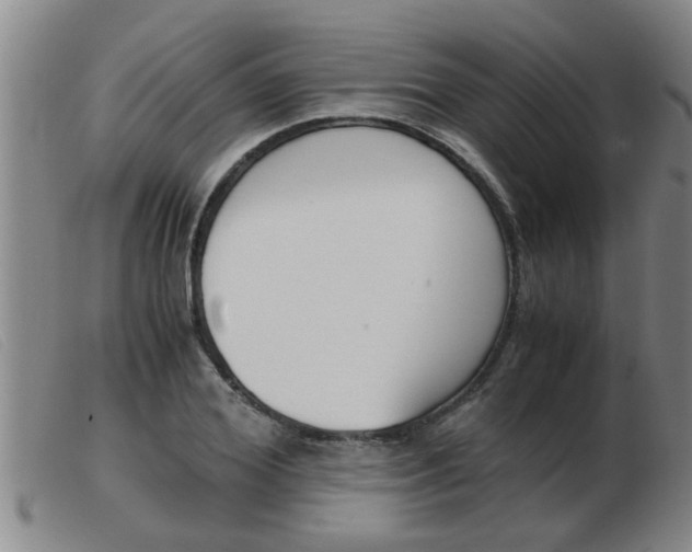 X0000103960980200809191330