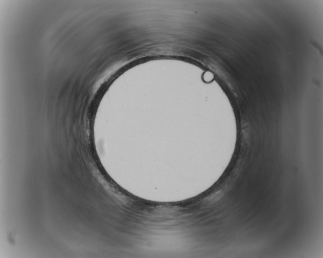 X0000103960981200809191330