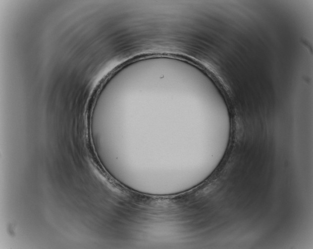 X0000103960982200809191330