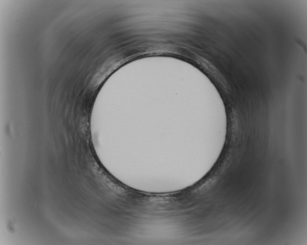 X0000103960985200809191330