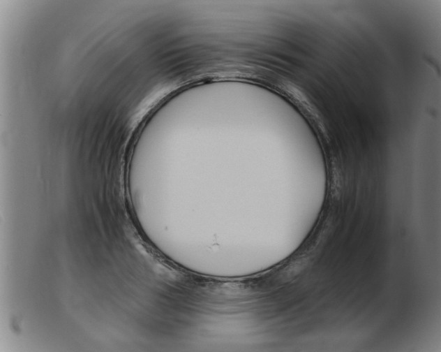 X0000103960986200809191330