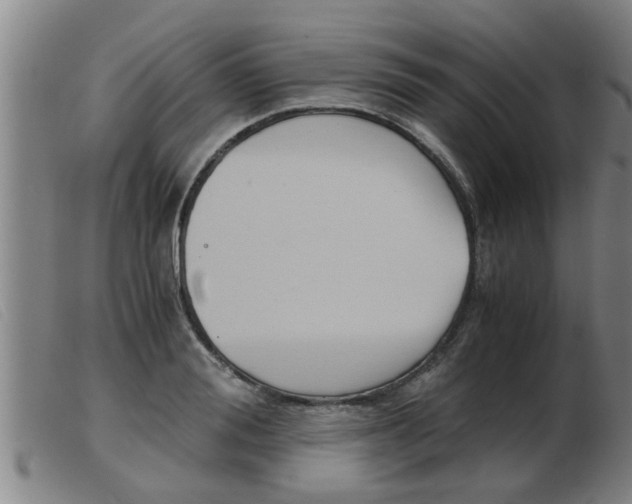 X0000103960988200809191330