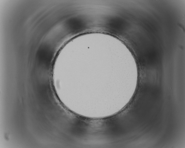 X0000103960989200809191330