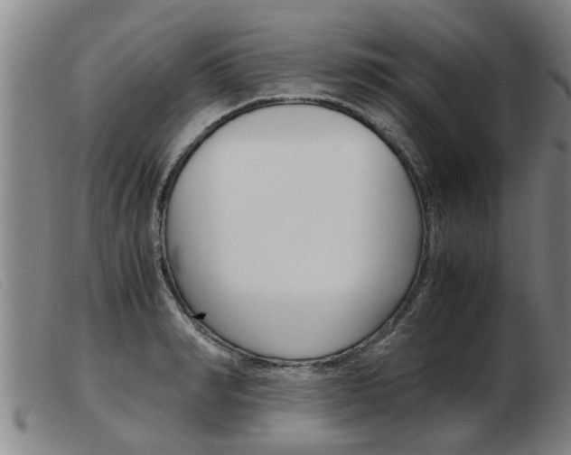 X0000103960990200809191330