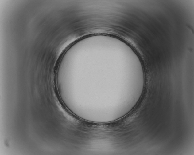 X0000103960991200809191330