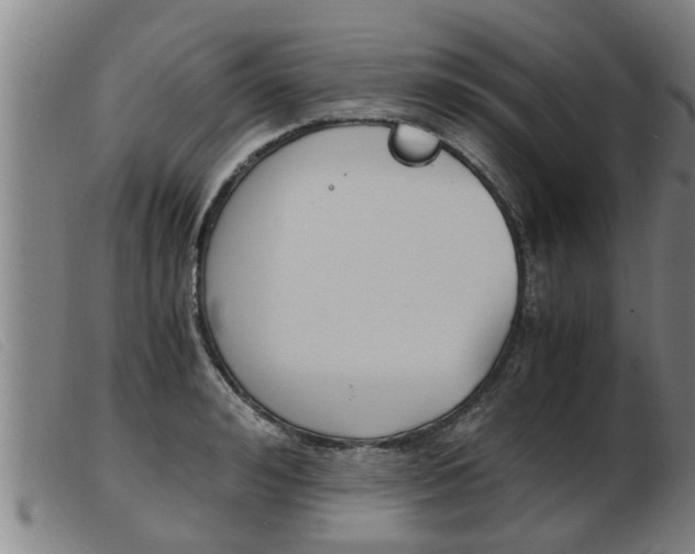 X0000103960992200809191330