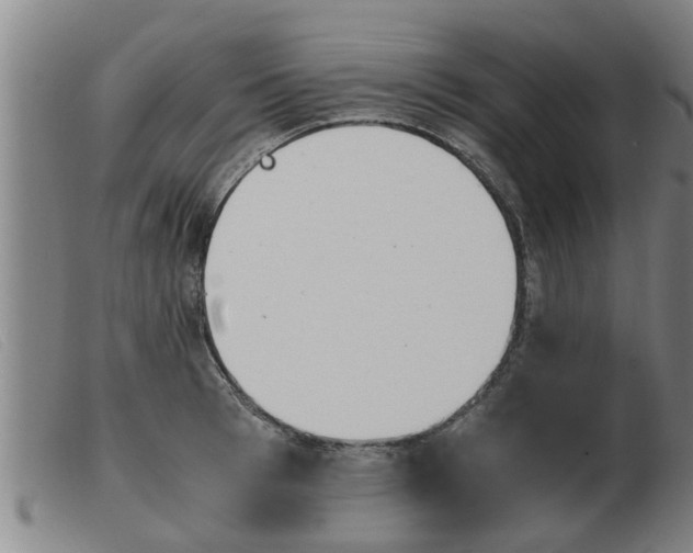 X0000103960993200809191330