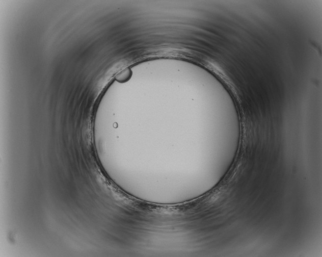 X0000103960994200809191330