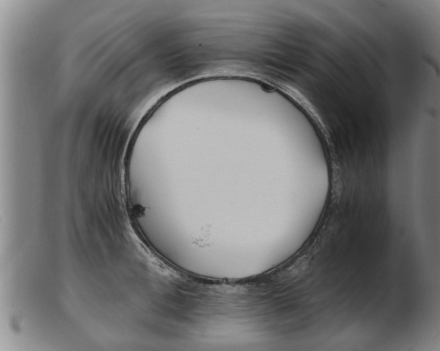 X0000103960996200809191330