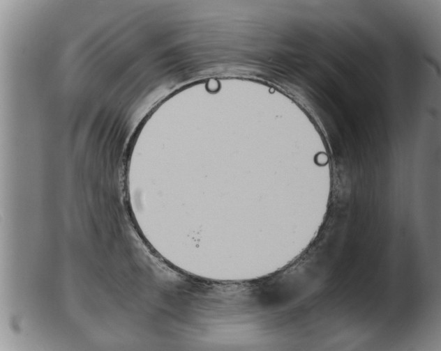 X0000103960997200809191330