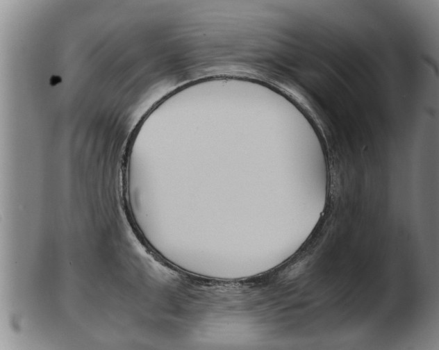 X0000103960999200809191330