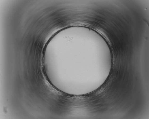X0000103961000200809191330