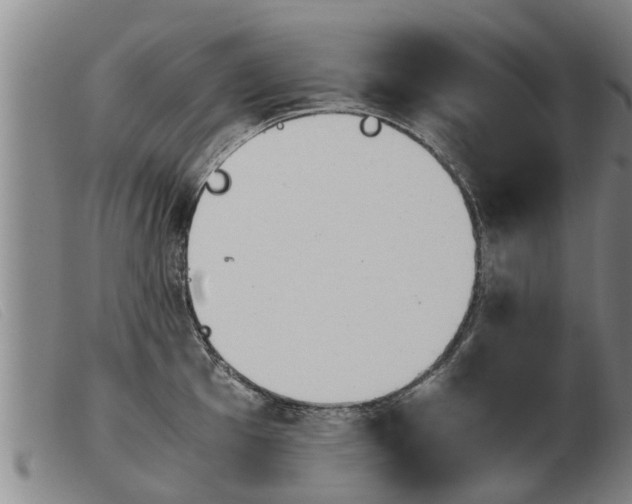 X0000103961001200809191330