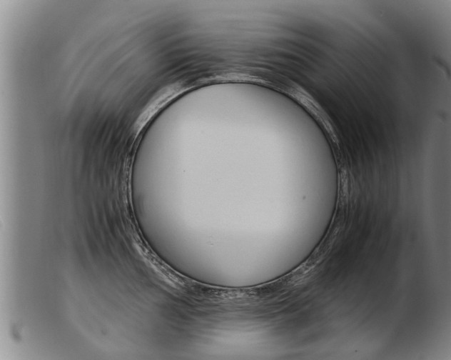 X0000103961002200809191330