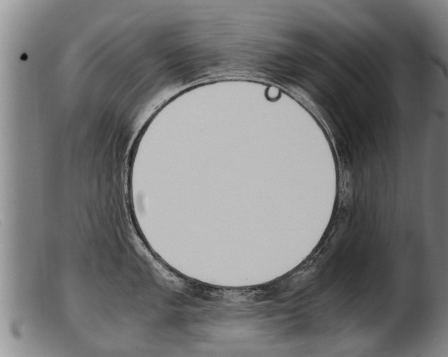 X0000103961005200809191330