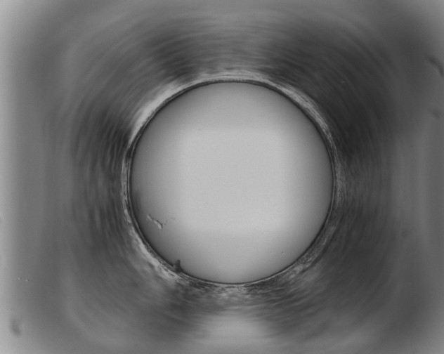 X0000103961006200809191330
