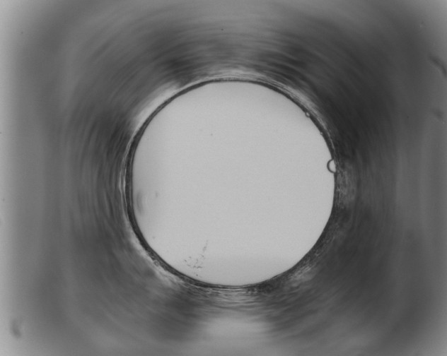 X0000103961007200809191330